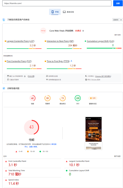Kismile PageSpeed 移动端检测 43 分